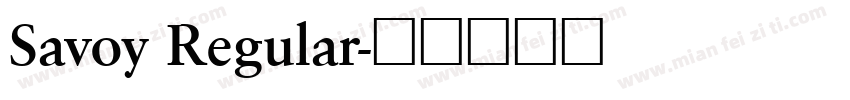 Savoy Regular字体转换